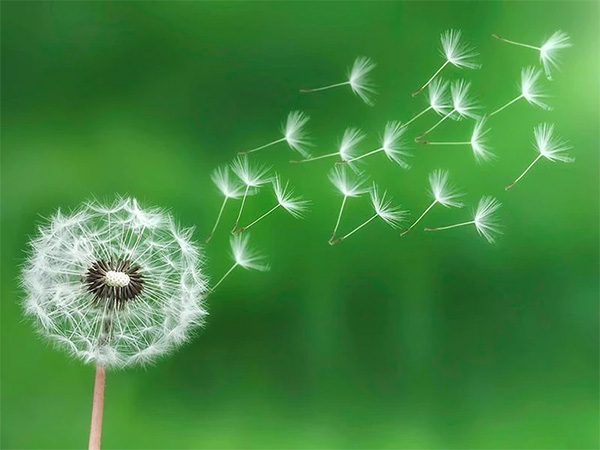 GÓC CHIA SẺ: QUÊN ĐI