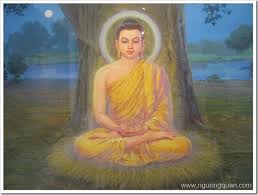 Hỏi đáp Phật học